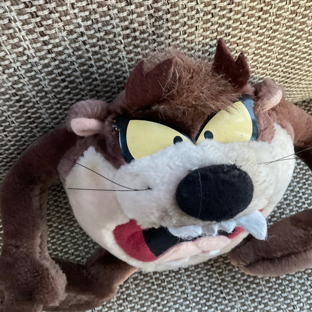 Tasmania devil stuffed animal